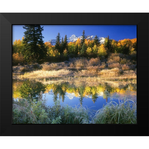 Wilson Peak near Telluride in the Colorado Rocky Mountains Black Modern Wood Framed Art Print by SMO