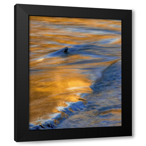 PA, Delaware Water Gap National Recreational Area Black Modern Wood Framed Art Print by OBrien, Jay