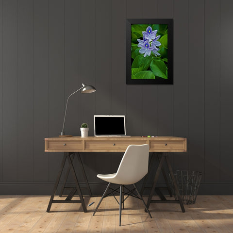 USA, Delaware, Wilmington Black Modern Wood Framed Art Print by OBrien, Jay