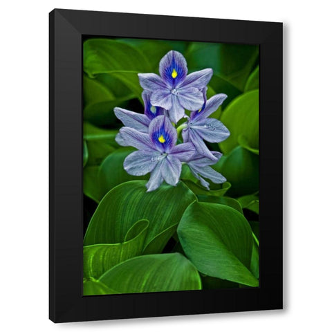 USA, Delaware, Wilmington Black Modern Wood Framed Art Print with Double Matting by OBrien, Jay