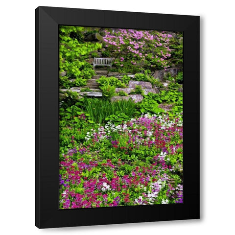 Delaware, Wilmington Flower abound in garden Black Modern Wood Framed Art Print by OBrien, Jay