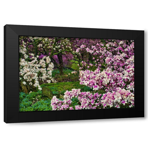 Delaware, Wilmington Flower and trees in garden Black Modern Wood Framed Art Print with Double Matting by OBrien, Jay