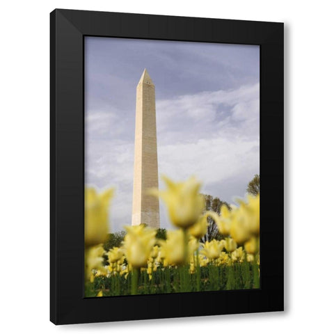 Washington DC, The Washington Monument Black Modern Wood Framed Art Print with Double Matting by Flaherty, Dennis