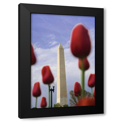 Washington DC, The Washington Monument Black Modern Wood Framed Art Print by Flaherty, Dennis