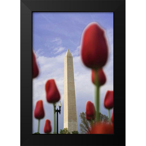 Washington DC, The Washington Monument Black Modern Wood Framed Art Print by Flaherty, Dennis