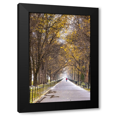 USA-District of Columbia-A snowy afternoon Black Modern Wood Framed Art Print by Looney, Hollice