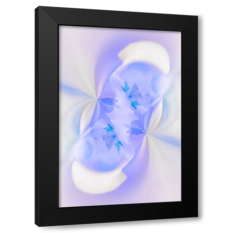 White Orchid flower-Florida Black Modern Wood Framed Art Print by Jones, Adam