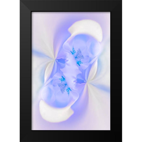 White Orchid flower-Florida Black Modern Wood Framed Art Print by Jones, Adam