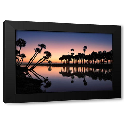 Sable palms silhouetted at sunrise on the Econlockhatchee River Black Modern Wood Framed Art Print with Double Matting by Jones, Adam