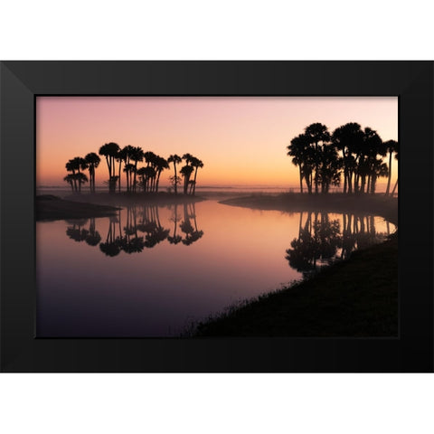 Sable palms silhouetted at sunrise on the Econlockhatchee River Black Modern Wood Framed Art Print by Jones, Adam