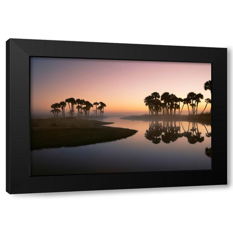Sable palms silhouetted at sunrise on the Econlockhatchee River Black Modern Wood Framed Art Print by Jones, Adam