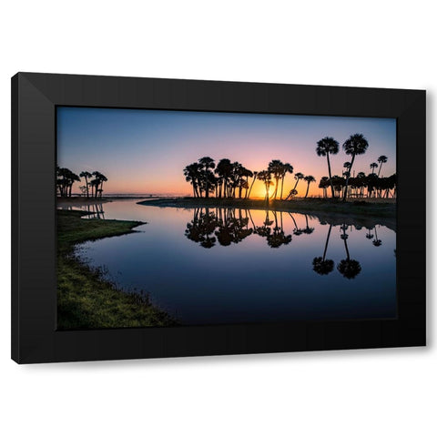 Sable palms silhouetted at sunrise on the Econlockhatchee River Black Modern Wood Framed Art Print by Jones, Adam