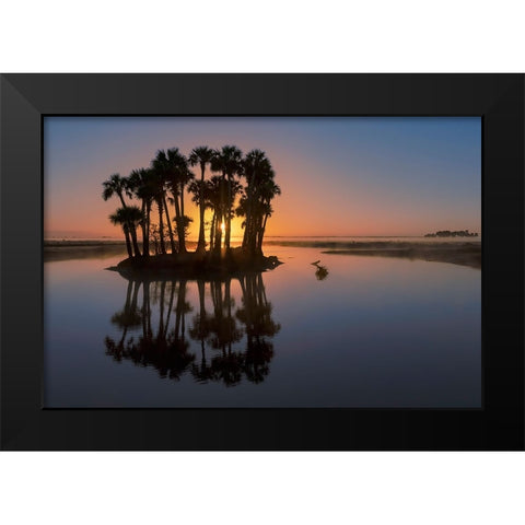 Sable palms silhouetted at sunrise on the Econlockhatchee River Black Modern Wood Framed Art Print by Jones, Adam