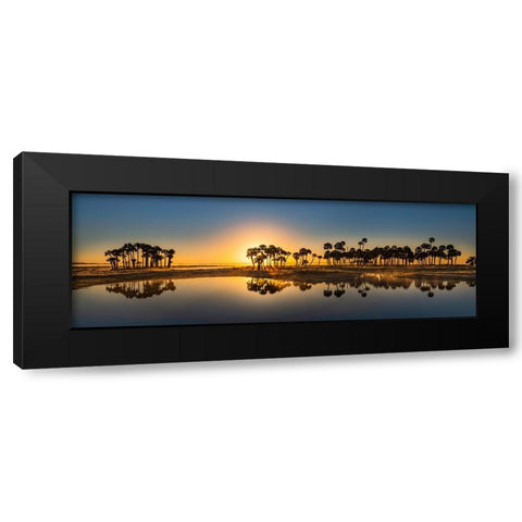 Sable palms silhouetted at sunrise on the Econlockhatchee River Black Modern Wood Framed Art Print with Double Matting by Jones, Adam