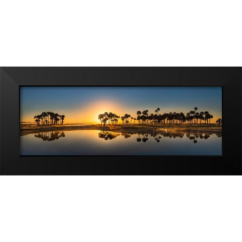 Sable palms silhouetted at sunrise on the Econlockhatchee River Black Modern Wood Framed Art Print by Jones, Adam