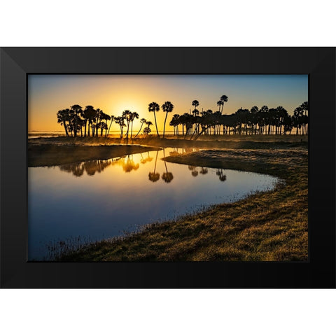Sable palms silhouetted at sunrise on the Econlockhatchee River Black Modern Wood Framed Art Print by Jones, Adam