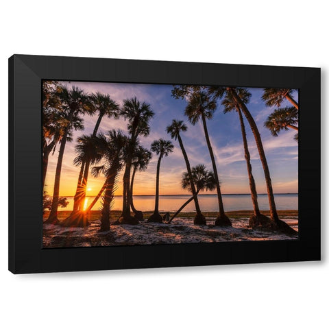 Sable palm tree silhouetted along shoreline of Harney Lake at sunset-Florida Black Modern Wood Framed Art Print with Double Matting by Jones, Adam