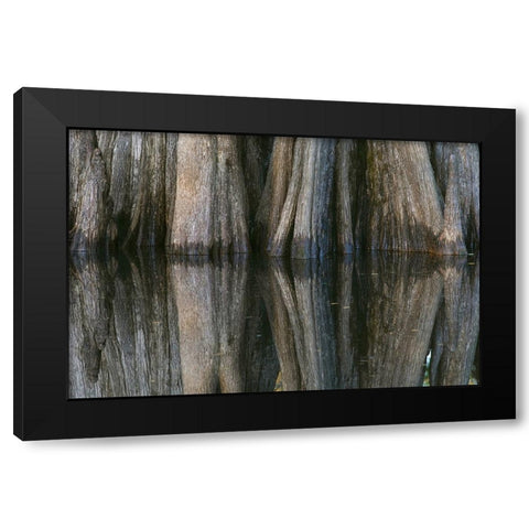 Pattern of cypress trees reflecting on blackwater area of St Johns River-central Florida Black Modern Wood Framed Art Print with Double Matting by Jones, Adam
