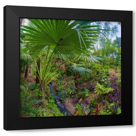 Florida-Tropical Garden with Palm Frond Black Modern Wood Framed Art Print with Double Matting by Miller, Anna