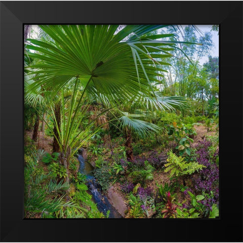 Florida-Tropical Garden with Palm Frond Black Modern Wood Framed Art Print by Miller, Anna