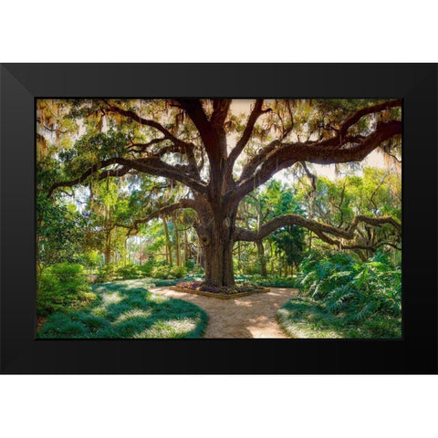 Florida Botanical Gardens-Washington Oaks State Park Black Modern Wood Framed Art Print by Miller, Anna