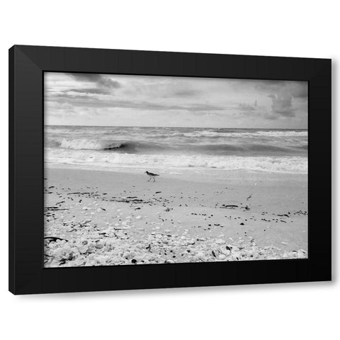Black and white Beach-Sanibel Island-Florida-USA Black Modern Wood Framed Art Print with Double Matting by Miller, Anna
