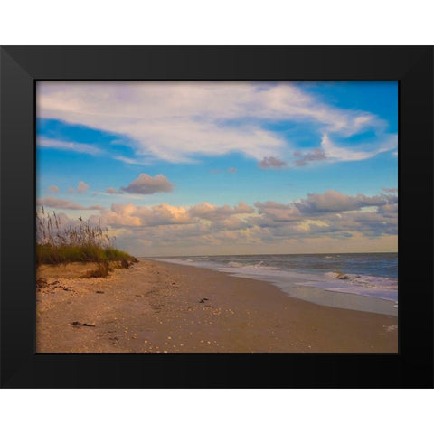 Beach-Sanibel Island-Florida-USA Black Modern Wood Framed Art Print by Miller, Anna