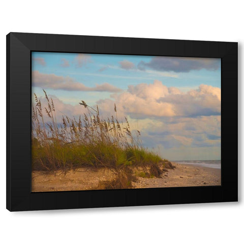 Beach-Sanibel Island-Florida-USA Black Modern Wood Framed Art Print with Double Matting by Miller, Anna
