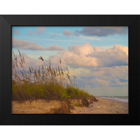 Beach-Sanibel Island-Florida-USA Black Modern Wood Framed Art Print by Miller, Anna