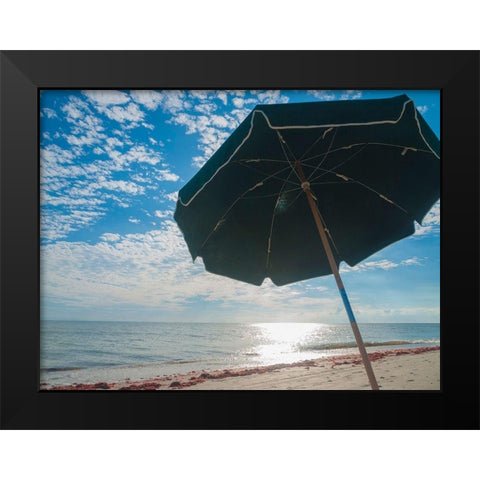 Beach Umbrella-Sanibel Island-Florida-USA Black Modern Wood Framed Art Print by Miller, Anna