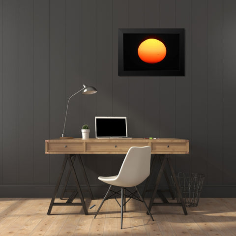 FL, Ft Myers Silhouette of bird flying Black Modern Wood Framed Art Print by Morris, Arthur