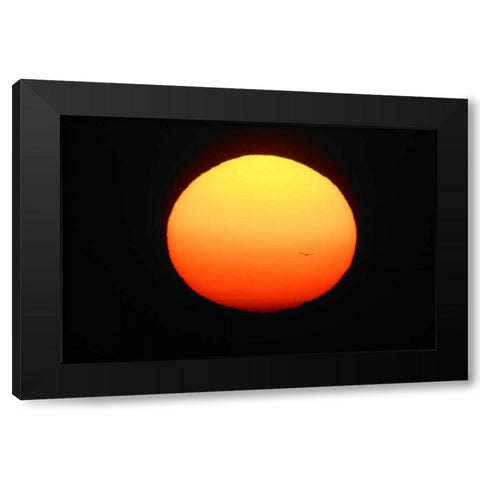 FL, Ft Myers Silhouette of bird flying Black Modern Wood Framed Art Print by Morris, Arthur