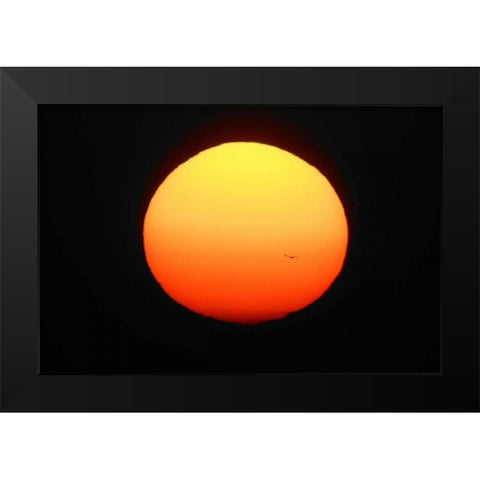 FL, Ft Myers Silhouette of bird flying Black Modern Wood Framed Art Print by Morris, Arthur