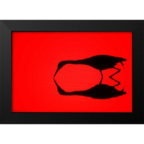 FL, Ding Darling NWR Silhouette of a heron Black Modern Wood Framed Art Print by Morris, Arthur