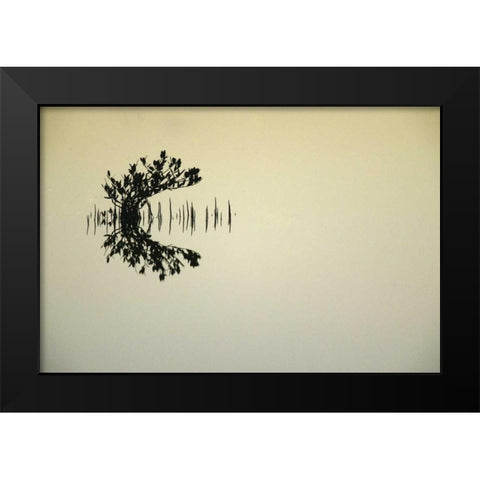 FL, Titusvulle, Merritt Island NWR Mangrove Black Modern Wood Framed Art Print by Morris, Arthur