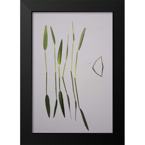 FL, Melbourne Water plants in the Viera Wetlands Black Modern Wood Framed Art Print by Morris, Arthur