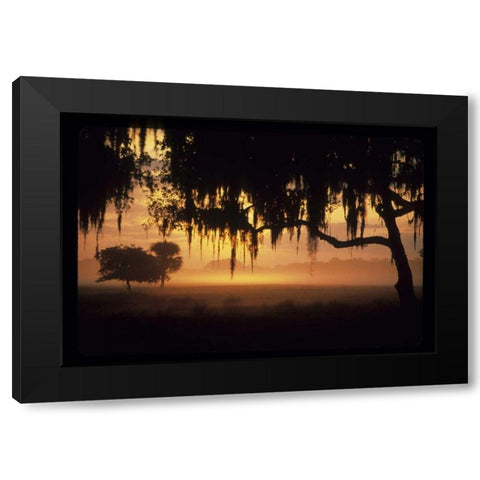 FL, Lake Kissimmee Sunrise silhouette of trees Black Modern Wood Framed Art Print with Double Matting by Williams, Joanne
