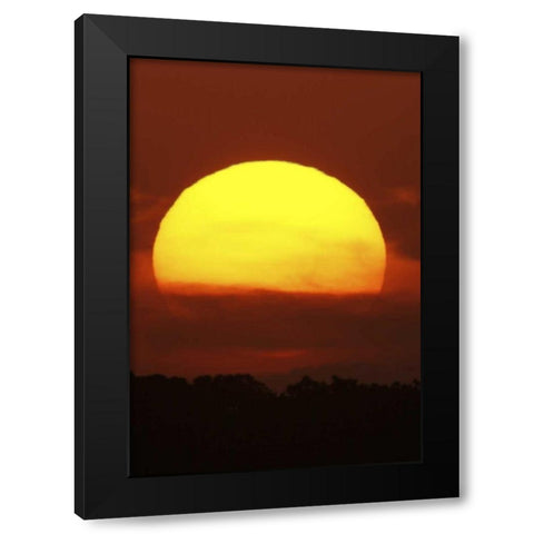 FL, Vierra Wetlands Giant sun at sunset Black Modern Wood Framed Art Print with Double Matting by Morris, Arthur