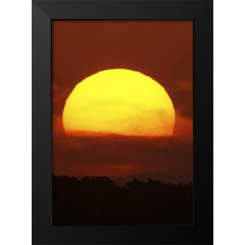 FL, Vierra Wetlands Giant sun at sunset Black Modern Wood Framed Art Print by Morris, Arthur