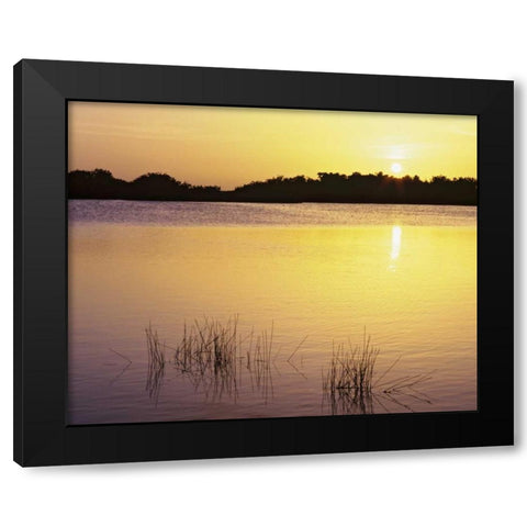 Florida, Everglades NP Sunset reflection on lake Black Modern Wood Framed Art Print with Double Matting by Flaherty, Dennis