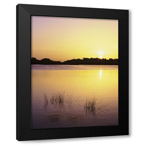 Florida, Everglades NP Sunset reflection on lake Black Modern Wood Framed Art Print with Double Matting by Flaherty, Dennis