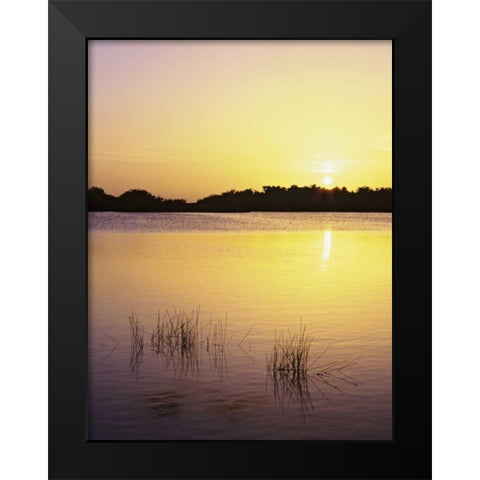 Florida, Everglades NP Sunset reflection on lake Black Modern Wood Framed Art Print by Flaherty, Dennis