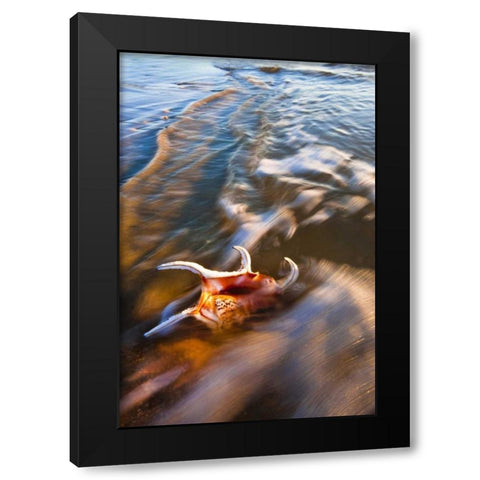 USA, Florida, St Augustine Black Modern Wood Framed Art Print with Double Matting by Rotenberg, Nancy