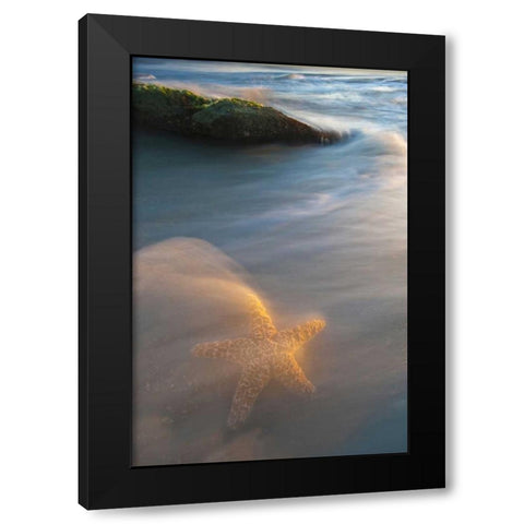 USA, Florida, St Augustine Black Modern Wood Framed Art Print by Rotenberg, Nancy