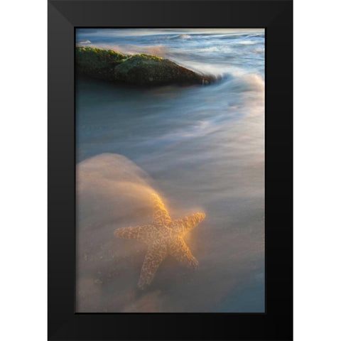 USA, Florida, St Augustine Black Modern Wood Framed Art Print by Rotenberg, Nancy