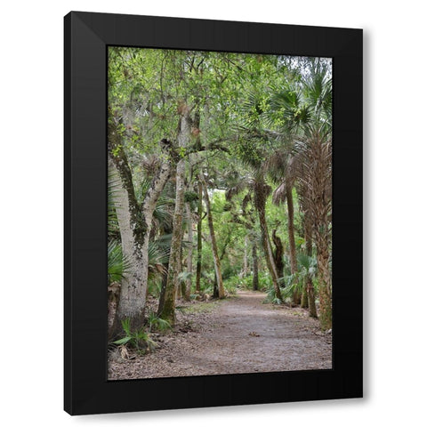 USA-Florida-Sarasota-Myakka River State Park Black Modern Wood Framed Art Print with Double Matting by Looney, Hollice