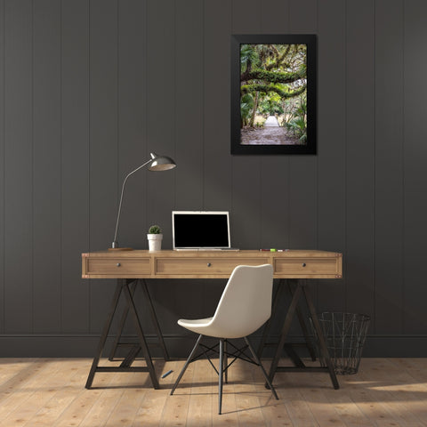 USA-Florida-Sarasota-Myakka River State Park Black Modern Wood Framed Art Print by Looney, Hollice