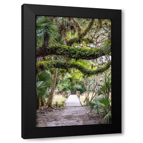 USA-Florida-Sarasota-Myakka River State Park Black Modern Wood Framed Art Print by Looney, Hollice