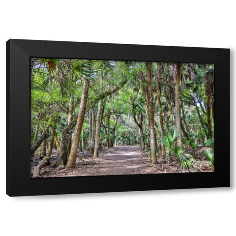 USA-Florida-Sarasota-Myakka River State Park Black Modern Wood Framed Art Print by Looney, Hollice