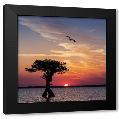 Sunset on Blue Cypress Lake Conservation Area-Vero Beach-Florida Black Modern Wood Framed Art Print by Pryor, Maresa